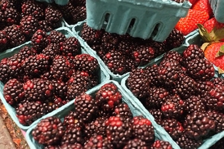 Berry Juicy News