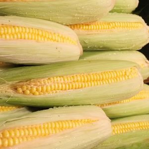 How to Pick Corn