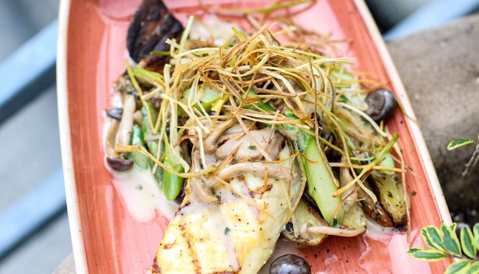 Wild Alaskan Halibut with Forest Mushroom