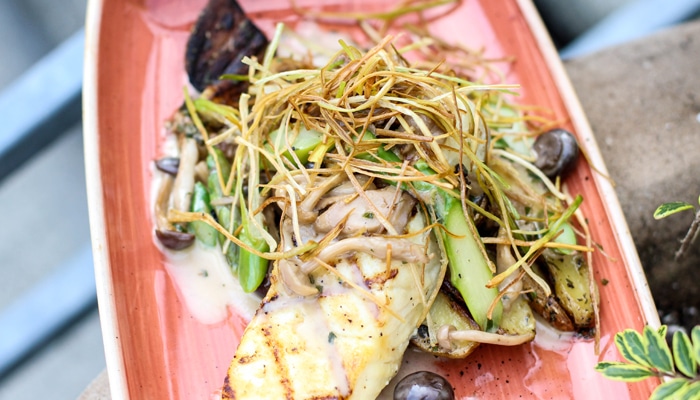 Wild Alaskan Halibut - saltys.com