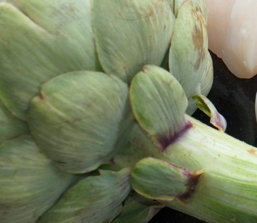 Love the Curmudgeonly Artichoke