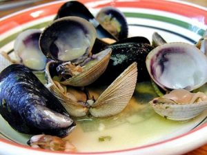 Clam Fan