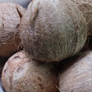 All I Need is a Coconut