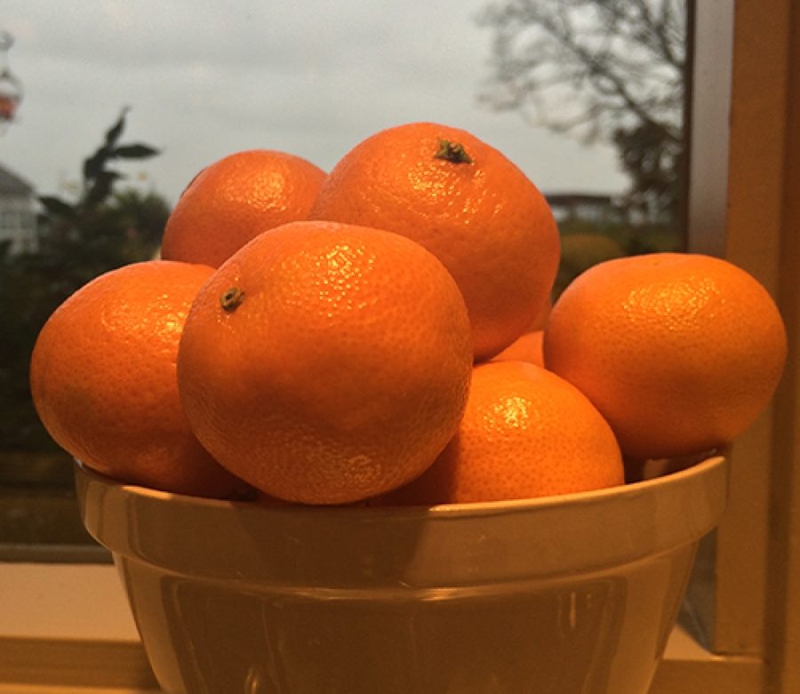 Orange You Glad It's January?