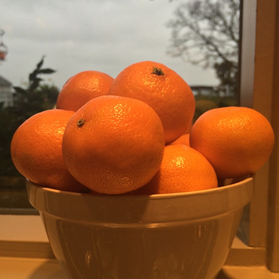 Orange You Glad It’s January?