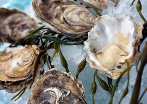 Pearls of Wisdom: Oysters Are Smart Food.