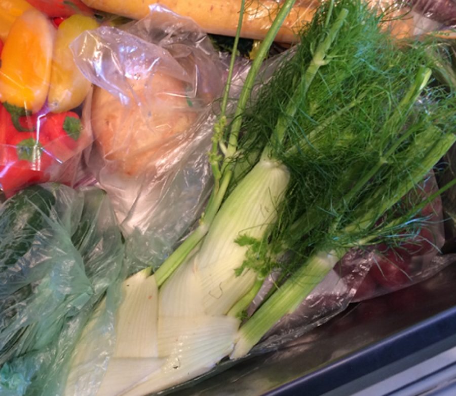 Saved by Fennel!