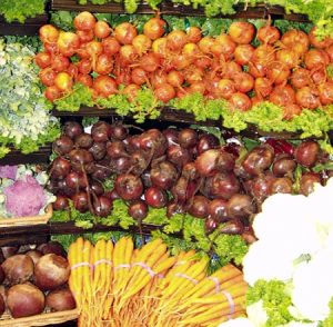 The Vegetable Underground