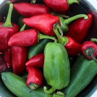 Picked a Pickled Pepper
