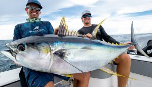Traveling Tuna
